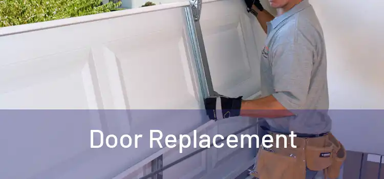  Door Replacement 