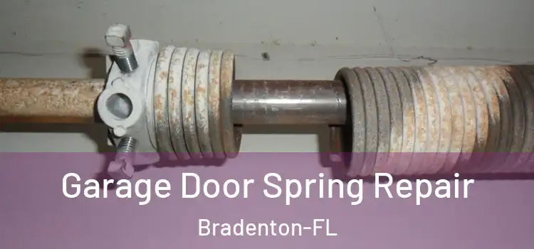 Garage Door Spring Repair Bradenton-FL