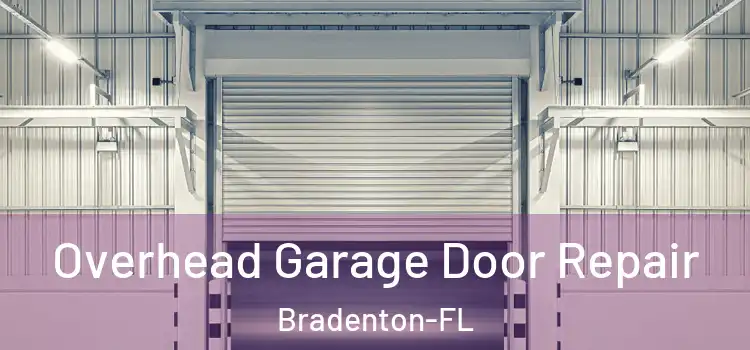 Overhead Garage Door Repair Bradenton-FL